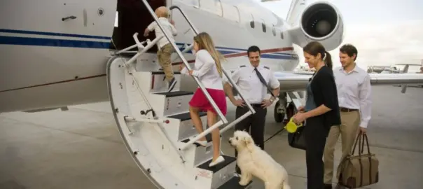 Traveling with Your Pet on a Private Jet Charter
