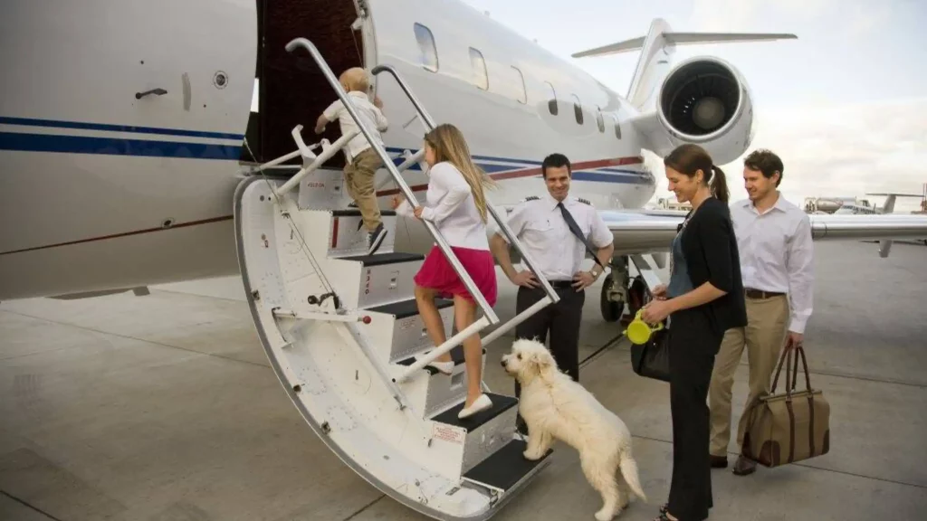 Reisen mit Ihrem Haustier – einen Privatjet chartern